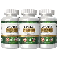 Clean Gut Kit image